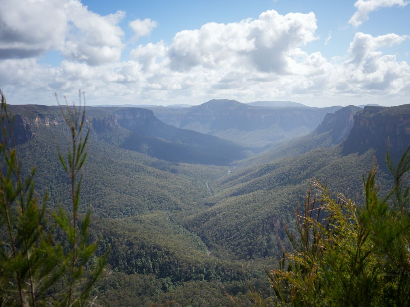 A lookout view over a wide Blue Mountains valley lined with sandstone cliffs